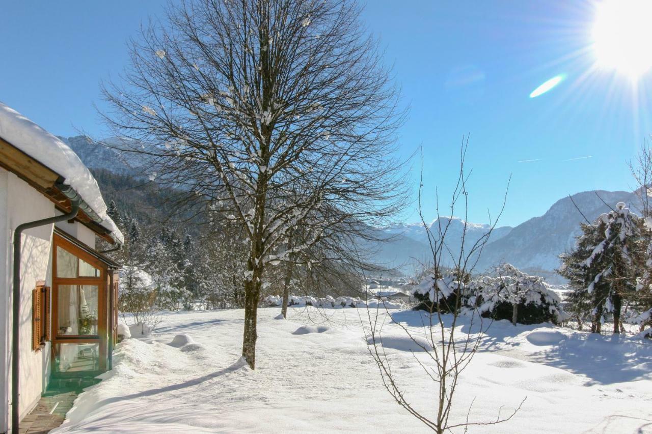Villa Anna Bad Goisern Am Hallstaettersee Zewnętrze zdjęcie